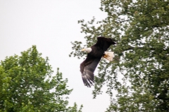 2015 Warwick Castle England