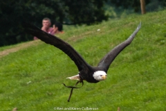 2015 Warwick Castle England