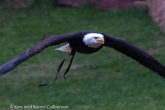 2015 Warwick Castle England