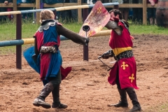 2015 Warwick Castle England