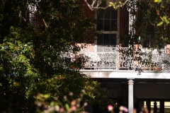 New Orleans Jan 2016