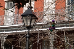 New Orleans Jan 2016