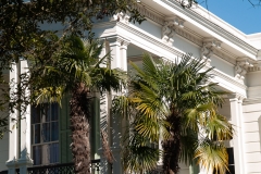 New Orleans Jan 2016