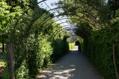 Salzburg, AT 2017