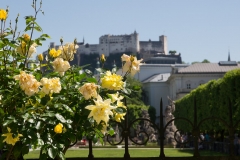 Salzburg, AT 2017