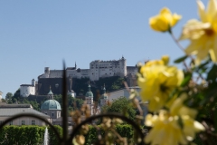 Salzburg, AT 2017