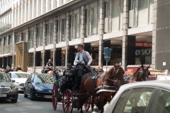 Vienna Austria, June 2017