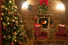 Weiner Christmas Saloon, Vienna Austria, June 2017