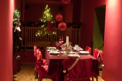 Weiner Christmas Saloon, Vienna Austria, June 2017