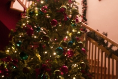 Weiner Christmas Saloon, Vienna Austria, June 2017