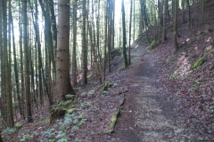 Füssen, Germany, The Romatic Road, May 2017