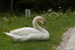 Linderhof, Ludwig II Castles, Ettal, Germany, May 2017