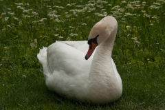 Linderhof, Ludwig II Castles, Ettal, Germany, May 2017