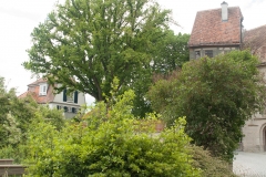 Rothenburg ob der Tauber, Germany, The Romatic Road, May 2017