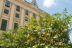 Schönbrunn Palace, Vienna Austria, June 2017