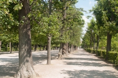 Schönbrunn Palace, Vienna Austria, June 2017