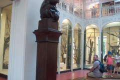 Tiergarten Schönbrunn (Imperial Zoo), Vienna Austria, June 2017