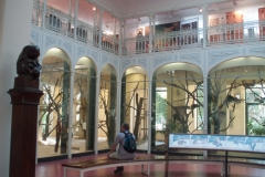 Tiergarten Schönbrunn (Imperial Zoo), Vienna Austria, June 2017