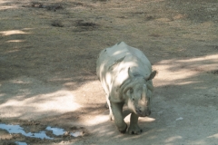 Tiergarten Schönbrunn (Imperial Zoo), Vienna Austria, June 2017