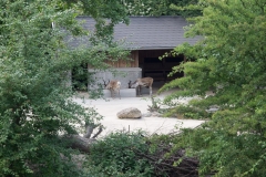 Tiergarten Schönbrunn (Imperial Zoo), Vienna Austria, June 2017