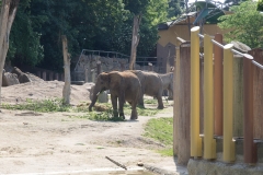 Tiergarten Schönbrunn (Imperial Zoo), Vienna Austria, June 2017