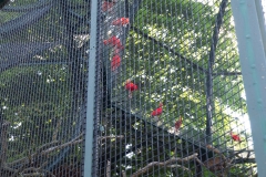 Tiergarten Schönbrunn (Imperial Zoo), Vienna Austria, June 2017