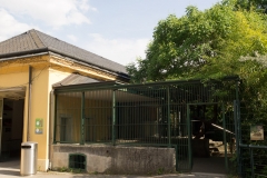 Tiergarten Schönbrunn (Imperial Zoo), Vienna Austria, June 2017