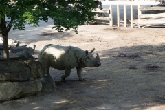 Tiergarten Schönbrunn (Imperial Zoo), Vienna Austria, June 2017