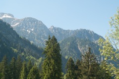 2017 Tegleberg