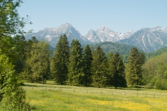 Füssen, Germany, The Romatic Road, May 2017