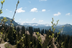 Füssen, Germany, The Romatic Road, May 2017