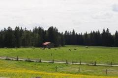 Wieskirche, Steingaden, Germany, The Romatic Road, May 2017