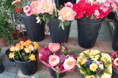 Würzburg, Germany, The Romatic Road, May 2017