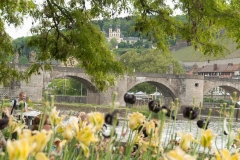 Würzburg, Germany, The Romatic Road, May 2017