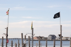 Maryland March 2018