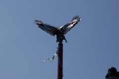 Washington July 3-4, 2018