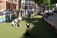 Washington July 3-4, 2018