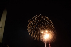 Washington July 3-4, 2018