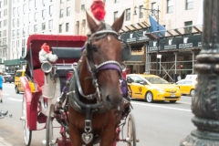 NYC September 2018