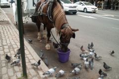 NYC September 2018