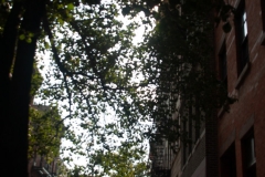 NYC September 2018