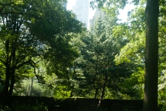 NYC September 2018