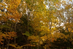 Maine 2018 Acadia National Park