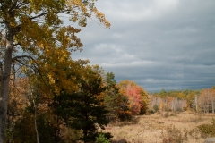 Maine 2018 Acadia National Park