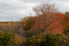 Maine 2018 Acadia National Park