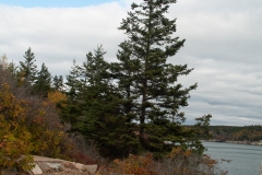 Maine 2018 Acadia National Park