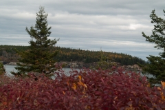 Maine 2018 Acadia National Park