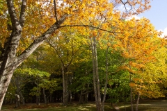 Maine 2018 Acadia National Park