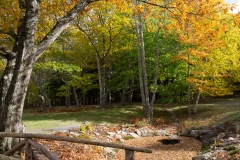 Maine 2018 Acadia National Park