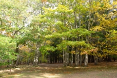 Maine 2018 Acadia National Park